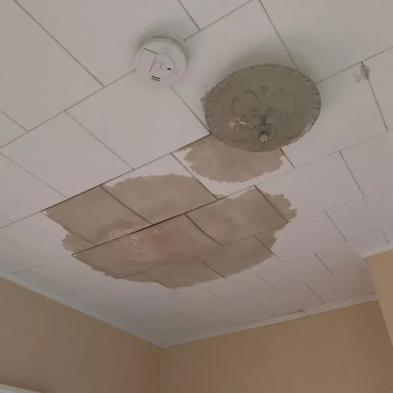 Ceiling Water Damage Repair in Worth County, MO