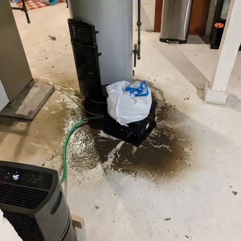 Sewage Backup Cleanup Service in Worth County, MO